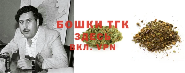 ешки Пересвет