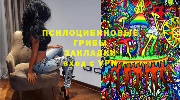 ешки Пересвет