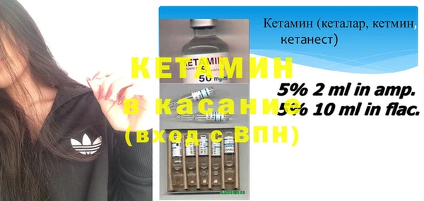 ешки Пересвет