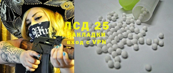 ешки Пересвет