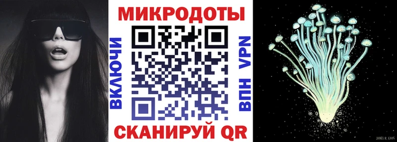 Купить  Черногорск  Псилоцибиновые грибы Psilocybe 